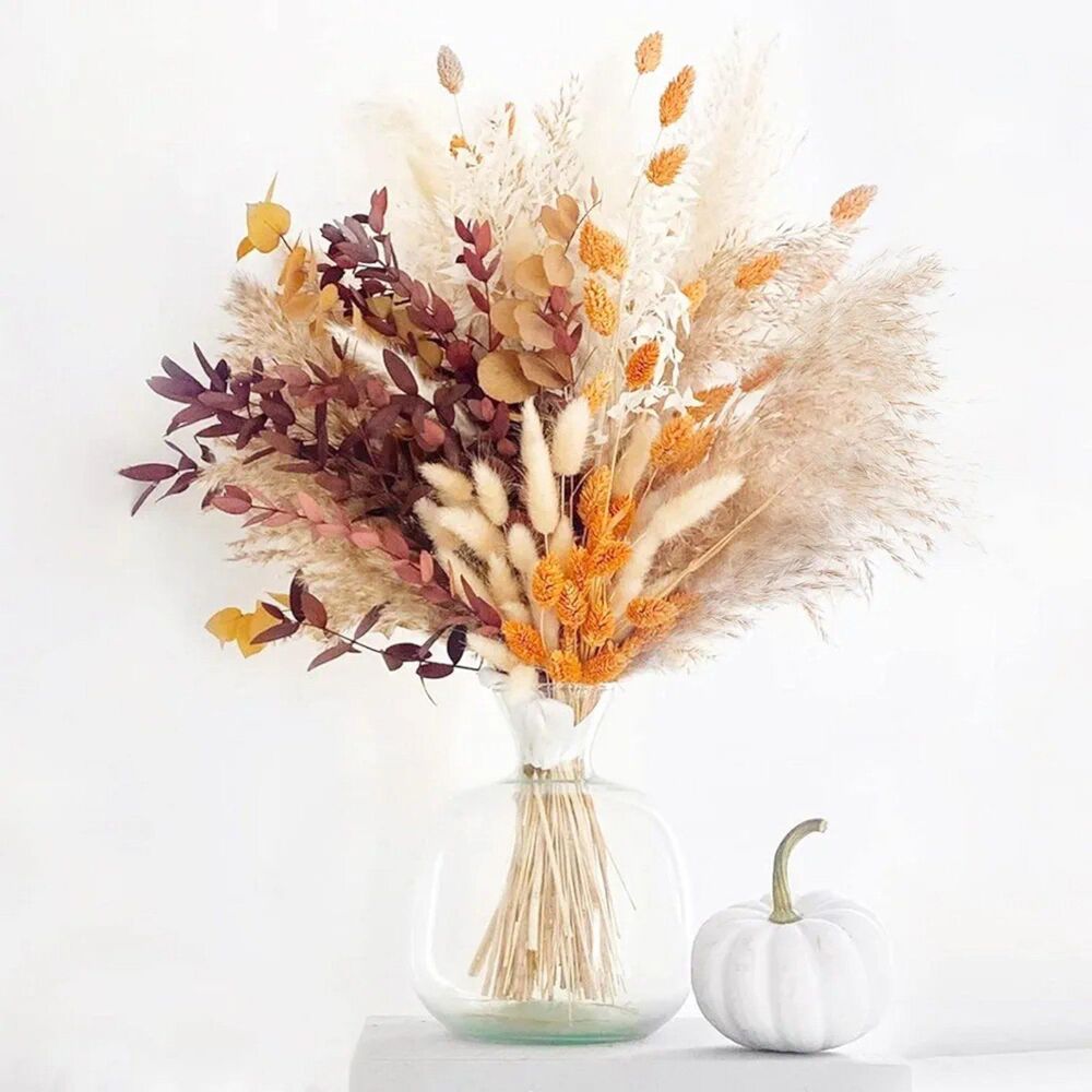 65 Pieces Dried Pampas Grass w/Red Eucalyptus NEW